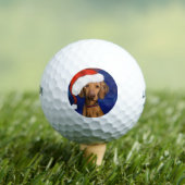 VIZSLA Kerstmis Golfballen (Insitu Shirt)
