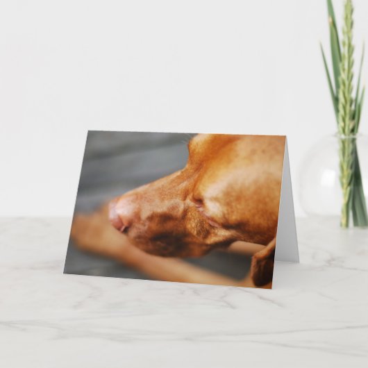 VIZSLA - lege kaart (Voorkant)