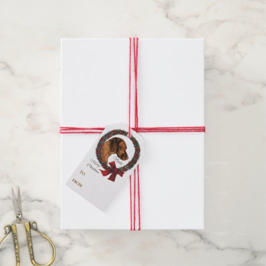 Vizsla Lovers Kerstmis Cadeaulabel (Met Touw)