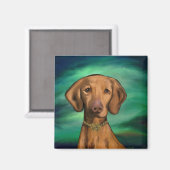 Vizsla Magneet (Voorkant / Achterkant)