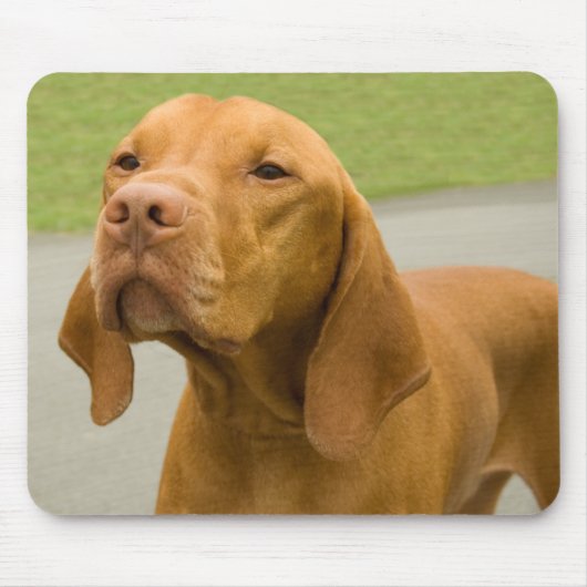 Vizsla Muismat (Voorkant)