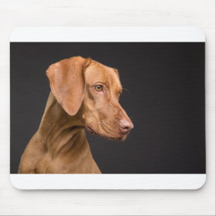 Vizsla Muismat