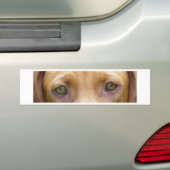 vizsla ogen.png bumpersticker (Op auto)