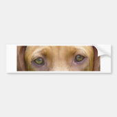 vizsla ogen.png bumpersticker (Voorkant)