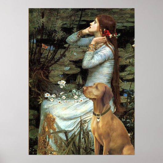 Vizsla - Ophelia Zittend Poster (Voorkant)