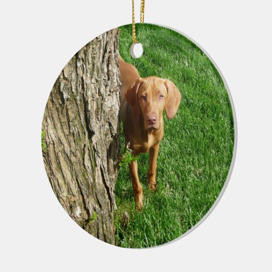 Vizsla Ornament (Links)