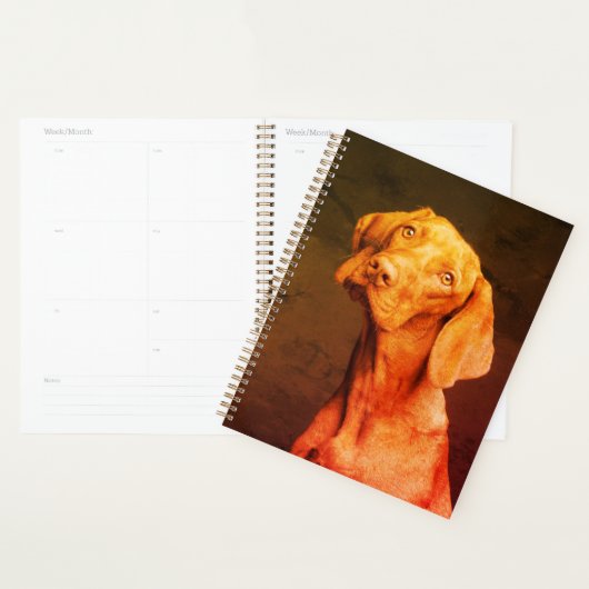 Vizsla Planner (Display)