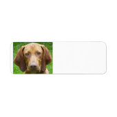 vizsla.png etiket (Voorkant)