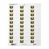 vizsla.png etiket (Full Sheet)