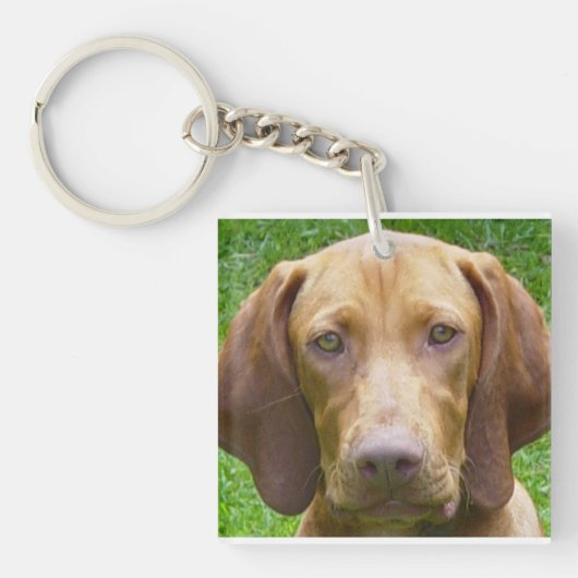 vizsla.png sleutelhanger (Voorkant)