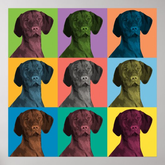 Vizsla Pop-Art Poster (Voorkant)