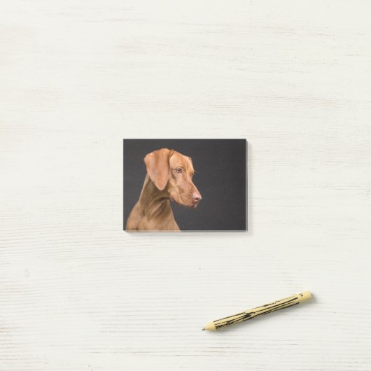Vizsla Post-it® Notes (Op bureau)