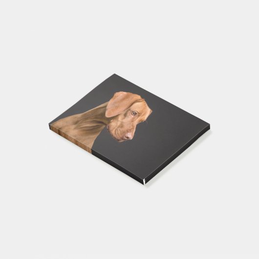 Vizsla Post-it® Notes (Schuin)