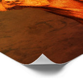 Vizsla Poster (Hoek)