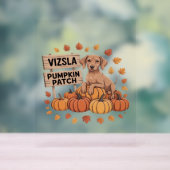 Vizsla Pumpkin Patch Hondenliefhebbers Thanksgivin Acryl Bord (Neutraal)