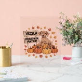 Vizsla Pumpkin Patch Hondenliefhebbers Thanksgivin Acryl Bord (Huwelijk)