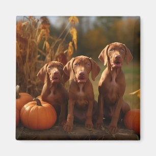 Vizsla Puppy Herfst Delight Pompoen Magneet