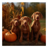 Vizsla Puppy Herfst Delight Pompoen Perfect Poster (Voorkant)