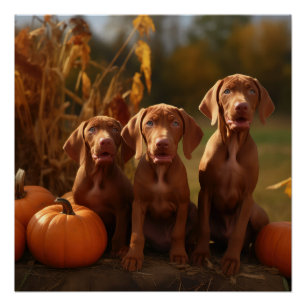 Vizsla Puppy Herfst Delight Pompoen Perfect Poster