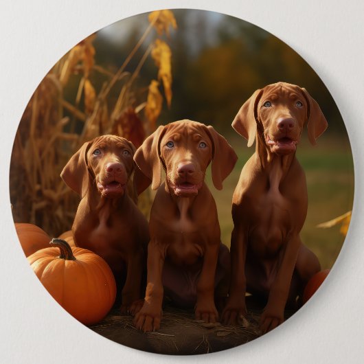 Vizsla Puppy Herfst Delight Pompoen Ronde Button 6,0 Cm (Voorkant)