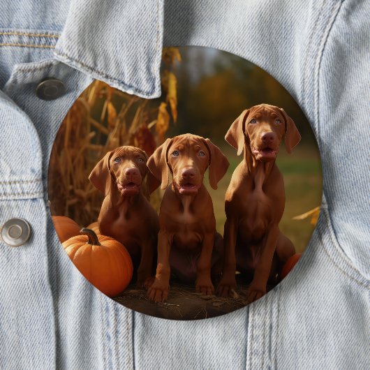 Vizsla Puppy Herfst Delight Pompoen Ronde Button 6,0 Cm (In situ)