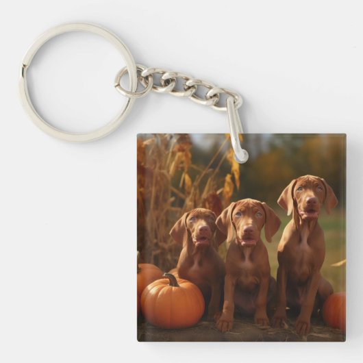 Vizsla Puppy Herfst Delight Pompoen Sleutelhanger (Voorkant)