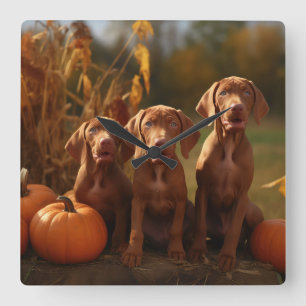 Vizsla Puppy Herfst Plezier Pompoen Vierkante Klok