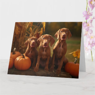 Vizsla Puppy Herfstpracht Pompoen Kaart