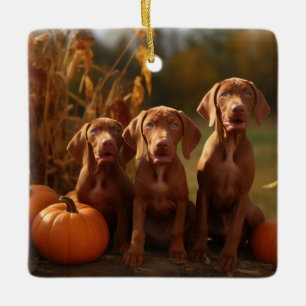 Vizsla Puppy Herfstpracht Pompoen Keramisch Ornament