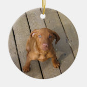 vizsla puppy keramisch ornament (Voorkant)