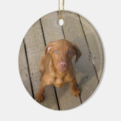 vizsla puppy keramisch ornament (Links)