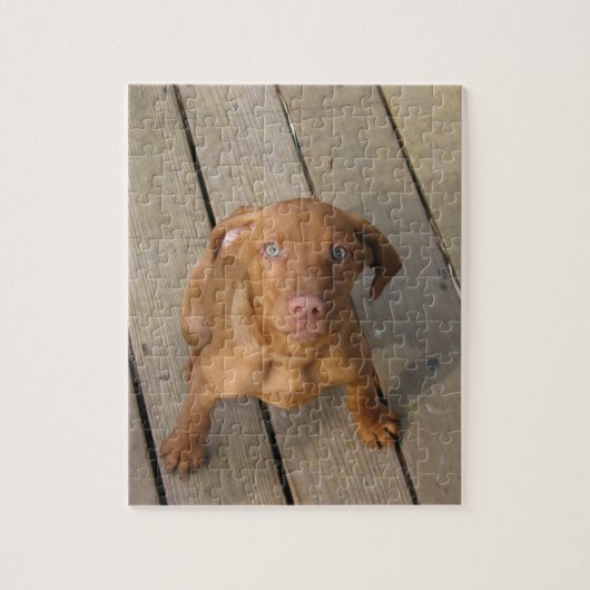 vizsla puppy legpuzzel (Verticaal)