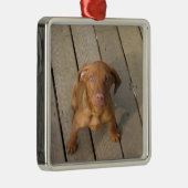 vizsla puppy metalen ornament (Rechts)