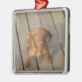 vizsla puppy metalen ornament (Links)