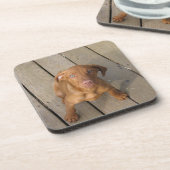 vizsla puppy onderzetter (Linkerzijde)