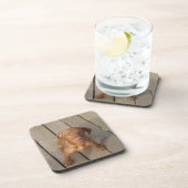 vizsla puppy onderzetter (Rechterzijde)