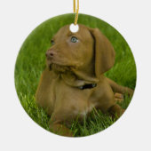 Vizsla puppy Ornament (Voorkant)