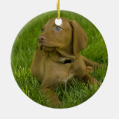 Vizsla puppy Ornament (Achterkant)