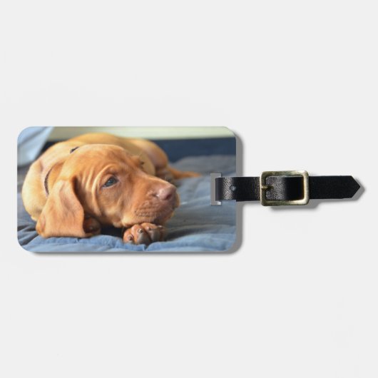 Vizsla puppy Rust op zijn poot Bagagelabel (Voorkant horizontaal)