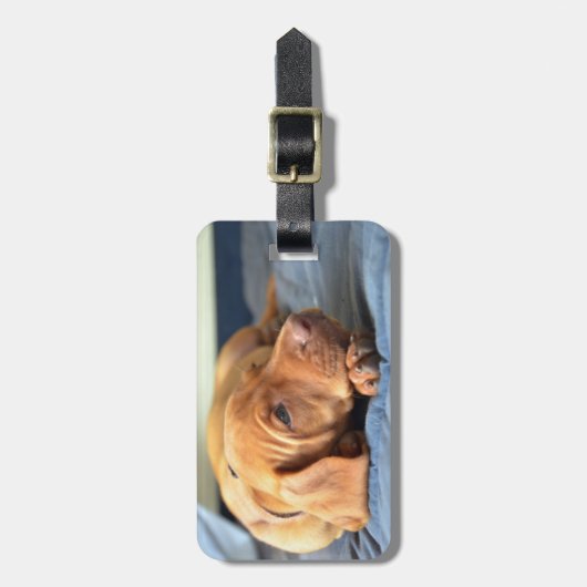 Vizsla puppy Rust op zijn poot Bagagelabel (Voorkant verticaal)