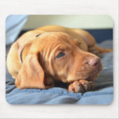 Vizsla puppy Rust op zijn poot Muismat (Voorkant)