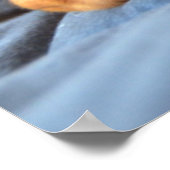 Vizsla puppy Rust op zijn poot Poster (Hoek)