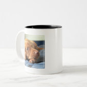 Vizsla puppy Rust op zijn poot Tweekleurige Koffiemok (Voorkant links)