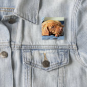 Vizsla puppy Rust op zijn poot Vierkante Button 5,1 Cm (In situ)