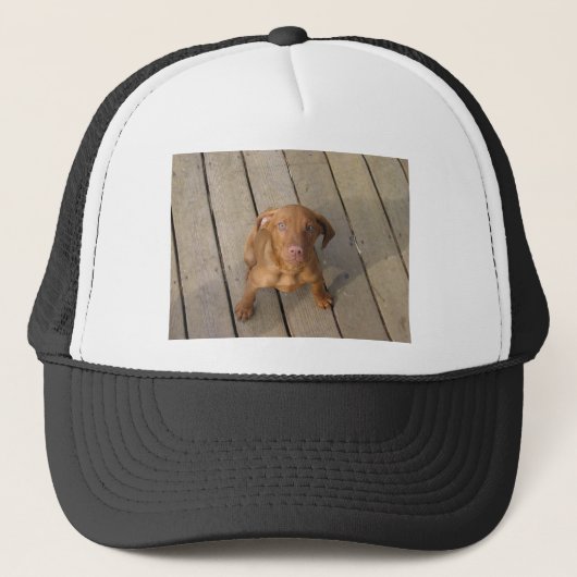 vizsla puppy trucker pet (Voorkant)