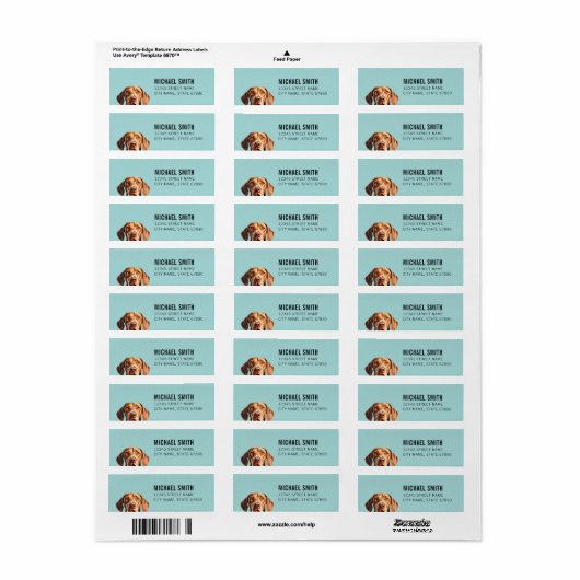 Vizsla Return Address Labels (Full Sheet)