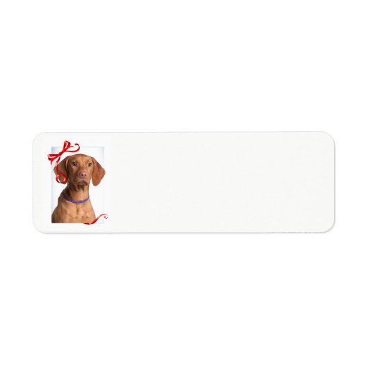 Vizsla Return Address Labels (Voorkant)