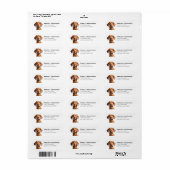 Vizsla Return Address Labels (Full Sheet)