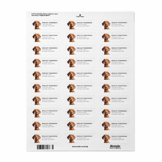 Vizsla Return Address Labels (Full Sheet)