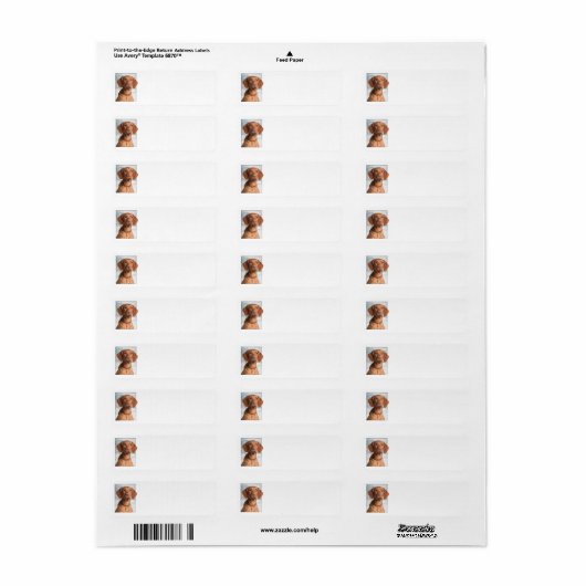Vizsla Return Address Labels (Full Sheet)